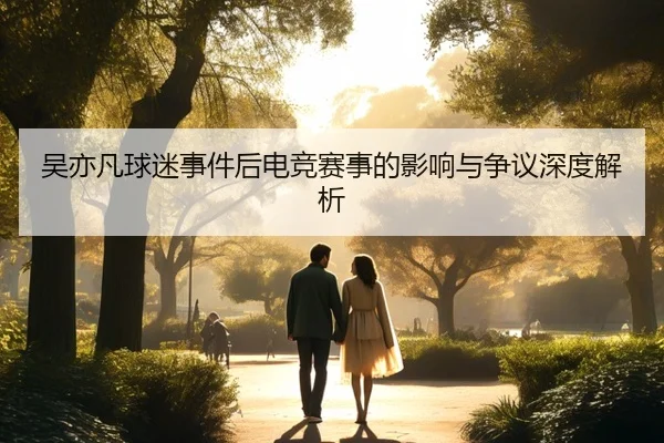 吴亦凡球迷事件后电竞赛事的影响与争议深度解析